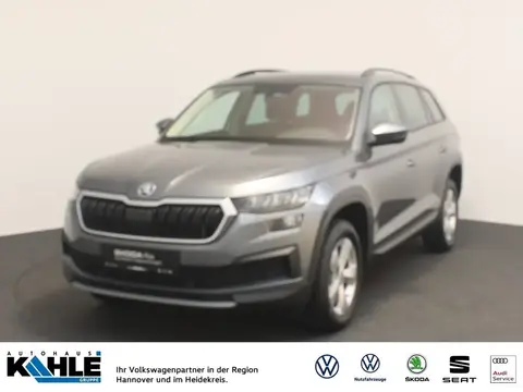 Used SKODA KODIAQ Petrol 2023 Ad 