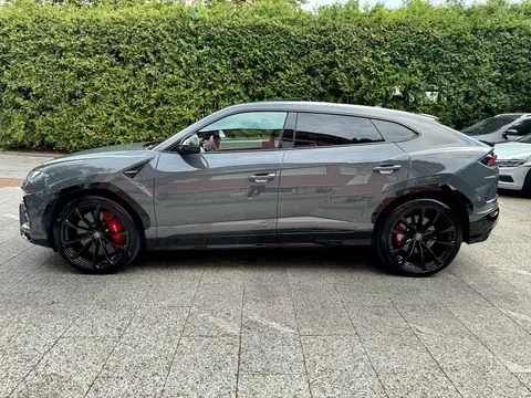 Annonce LAMBORGHINI URUS Essence 2021 d'occasion 