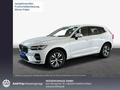 Used VOLVO XC60 Hybrid 2023 Ad 