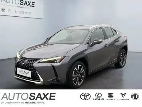 Used LEXUS UX Hybrid 2019 Ad 