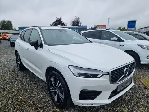 Annonce VOLVO XC60 Diesel 2019 d'occasion 