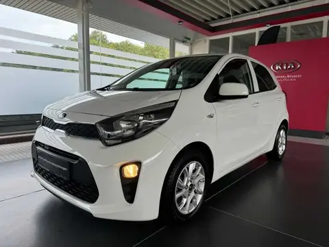 Annonce KIA PICANTO Essence 2019 d'occasion 