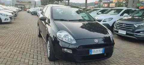 Used FIAT PUNTO Petrol 2018 Ad 