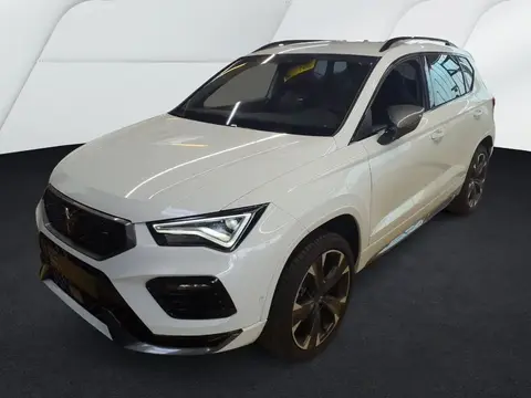 Used CUPRA ATECA Petrol 2024 Ad 