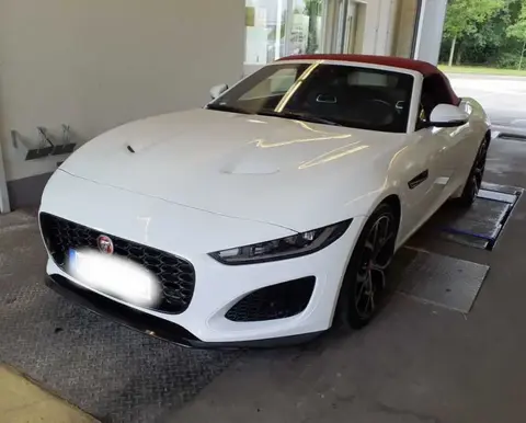 Used JAGUAR F-TYPE Petrol 2021 Ad 