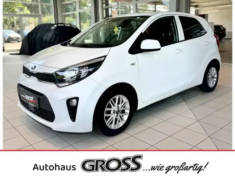 Annonce KIA PICANTO Essence 2021 d'occasion 