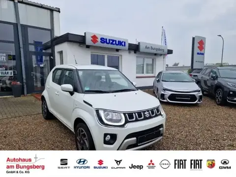 Used SUZUKI IGNIS Petrol 2021 Ad 