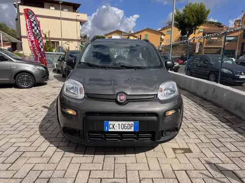 Used FIAT PANDA Hybrid 2022 Ad 