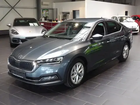 Used SKODA OCTAVIA Diesel 2021 Ad 