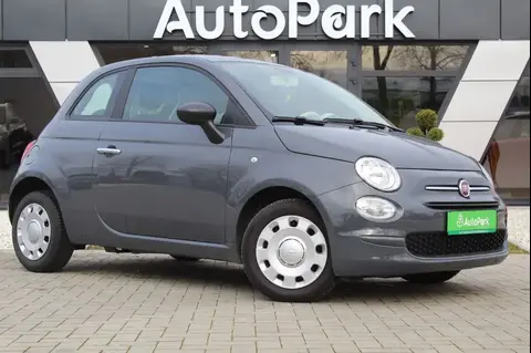 Used FIAT 500 Petrol 2021 Ad 