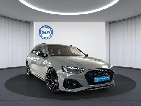 Used AUDI RS4 Petrol 2023 Ad 