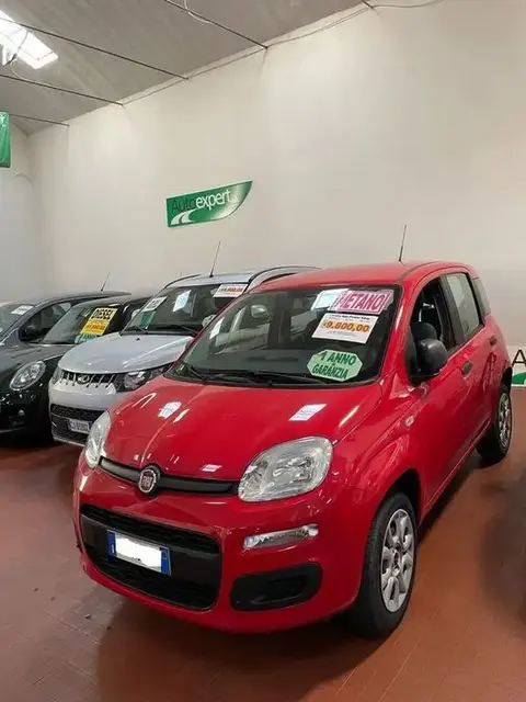 Used FIAT PANDA  2019 Ad 