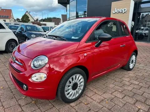 Used FIAT 500 Petrol 2023 Ad 