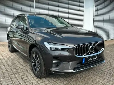 Annonce VOLVO XC60 Hybride 2023 d'occasion 