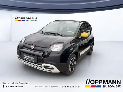 Annonce FIAT PANDA Essence 2024 d'occasion 