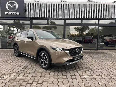 Used MAZDA CX-5 Petrol 2024 Ad 