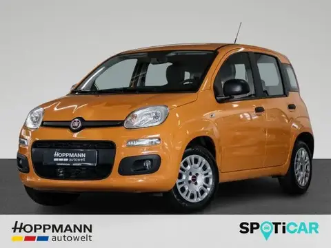 Used FIAT PANDA Petrol 2019 Ad 