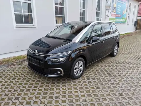 Annonce CITROEN C4 Diesel 2019 d'occasion 