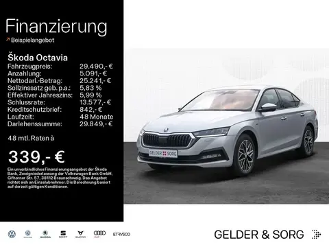 Annonce SKODA OCTAVIA Diesel 2021 d'occasion 