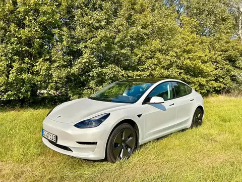 Used TESLA MODEL 3 Not specified 2023 Ad 