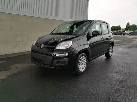 Used FIAT PANDA Petrol 2020 Ad 