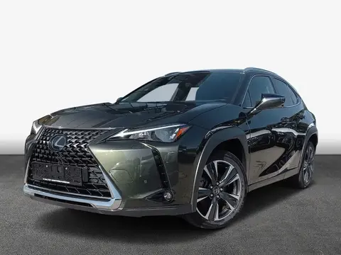 Annonce LEXUS UX Hybride 2022 d'occasion 