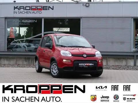 Annonce FIAT PANDA Hybride 2024 d'occasion 