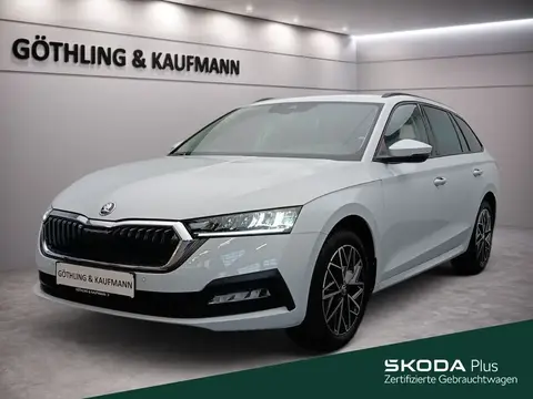 Annonce SKODA OCTAVIA Essence 2024 d'occasion 