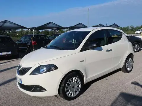 Used LANCIA YPSILON Hybrid 2023 Ad 