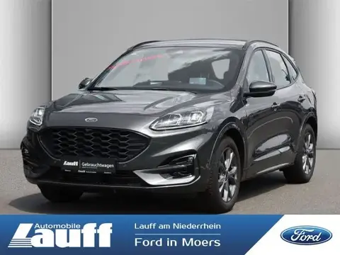 Used FORD KUGA Petrol 2023 Ad 