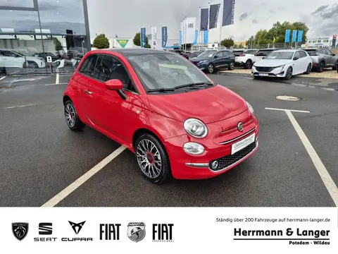 Used FIAT 500 Petrol 2023 Ad 