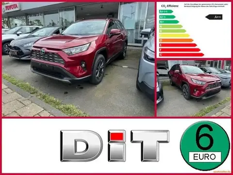 Used TOYOTA RAV4 Hybrid 2024 Ad 