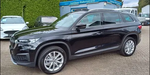 Used SKODA KODIAQ Petrol 2024 Ad 