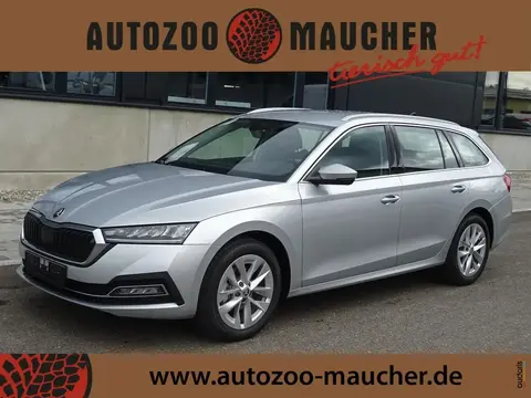 Used SKODA OCTAVIA Petrol 2024 Ad 