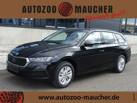 Used SKODA OCTAVIA Petrol 2024 Ad 