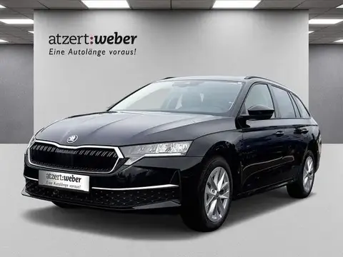 Used SKODA OCTAVIA Petrol 2024 Ad 