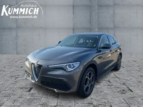 Annonce ALFA ROMEO STELVIO Diesel 2018 d'occasion 