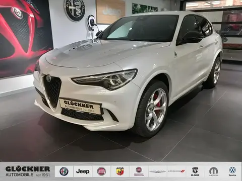 Used ALFA ROMEO STELVIO Petrol 2021 Ad 