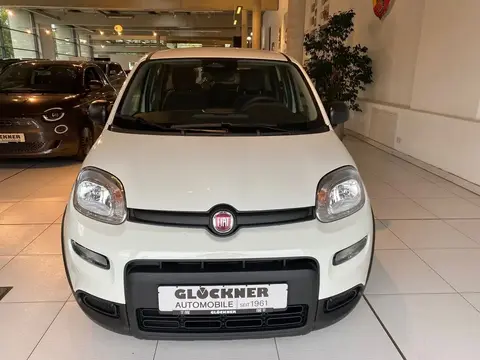 Annonce FIAT PANDA Essence 2024 d'occasion 