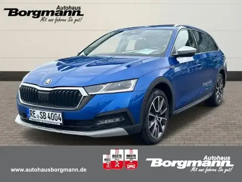 Used SKODA OCTAVIA Diesel 2023 Ad 