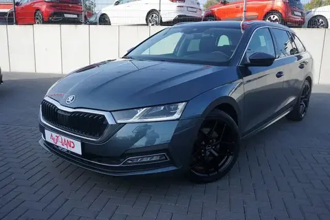 Used SKODA OCTAVIA Petrol 2020 Ad 