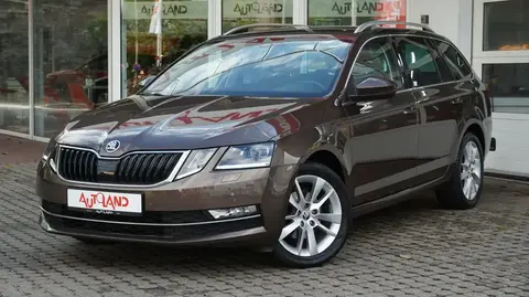 Used SKODA OCTAVIA Petrol 2019 Ad 