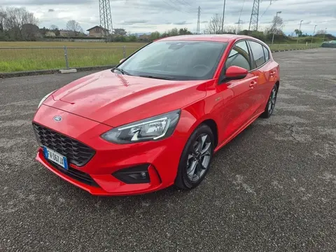 Used FORD FOCUS Petrol 2019 Ad 