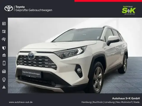 Used TOYOTA RAV4 Hybrid 2020 Ad 