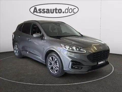 Used FORD KUGA Hybrid 2021 Ad 