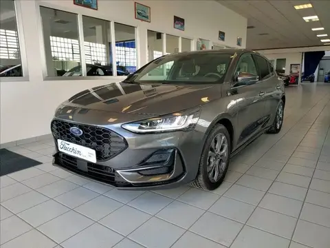 Annonce FORD FOCUS Hybride 2023 d'occasion 