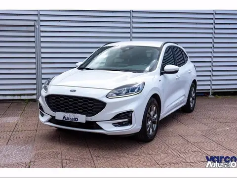 Annonce FORD KUGA Essence 2021 d'occasion 