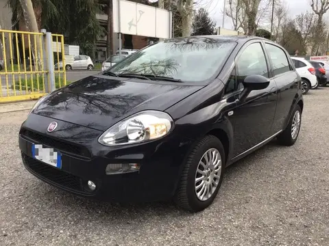 Annonce FIAT PUNTO Essence 2016 d'occasion 