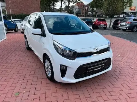 Used KIA PICANTO Petrol 2021 Ad 