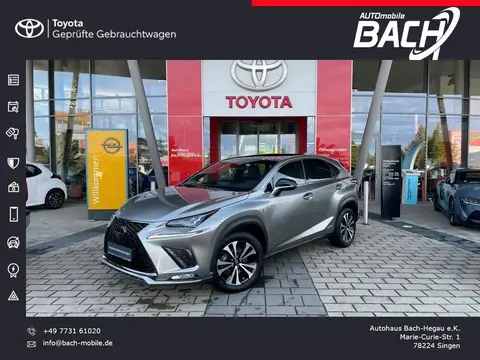 Used LEXUS NX Petrol 2018 Ad 